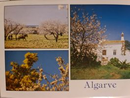 Ansichtskarte Algarve Portugal 1990