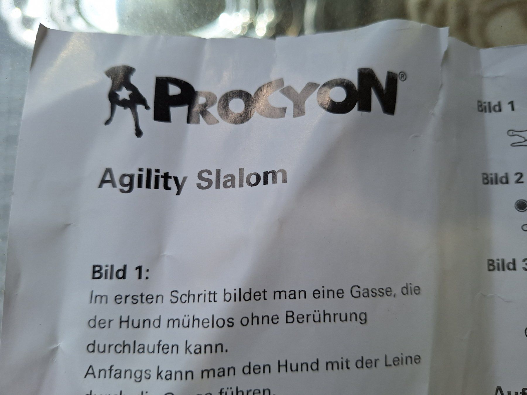 Spielzeuge: Procyon Agility Hunde - trainig Slalom, Parcours – Neu (gemäss Beschreibung) aus Weinfelden von JoeBaer 6
