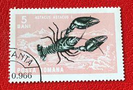 Briefmarke aus Rumänien gestempelt   ﻿ Siehe Original Fotos 