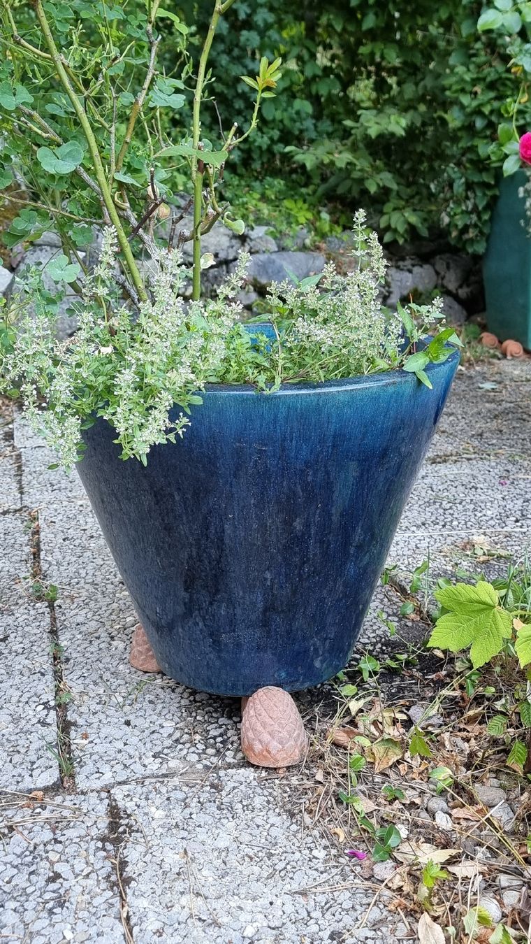 Vasi per fiori: Keramiktopf dunkelblau – Usato da Twann venduto da MW51 2
