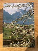 Spiez am Thunersee - AK