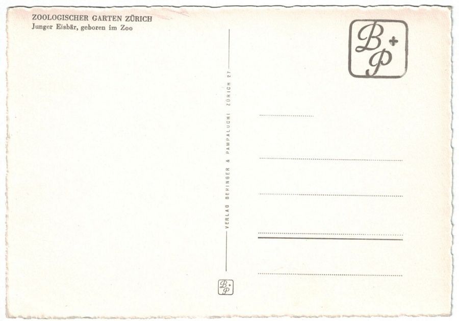 Cartoline postali: Zürich, junger Eisbär im Zoologischen Garten – Usato da Frauenfeld venduto da POML 1