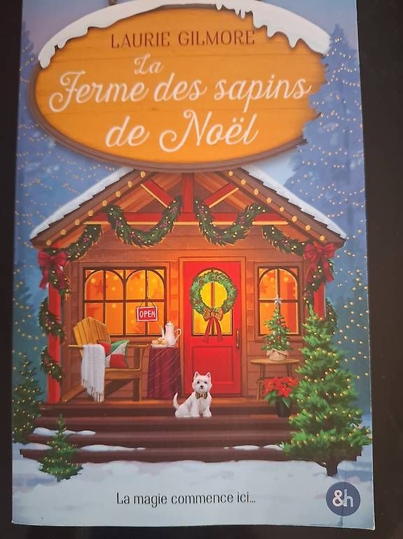 Livres: Divers romans entre 10 chf et 20 chf – D'occasion à Bottens par tit_qg8j