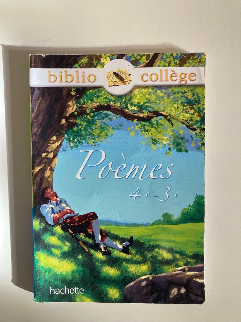 Libri: Poèmes 4e - 3e – Usato da La Tour-de-Peilz venduto da vve_nm8c