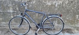 Herren Velo Stocke 28"