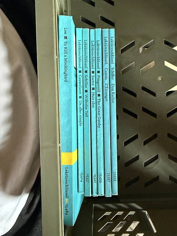 Libri: Lektürenschlüssel, pro Stück 7 CHF – Usato da Sarnen venduto da ale_7ph7 1
