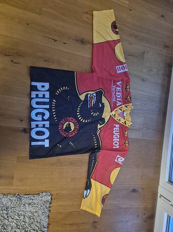 Canottiere & Pantaloni: Original SC Bern Trikot Saison 95/96 – Usato da Koppigen venduto da abu_5syv