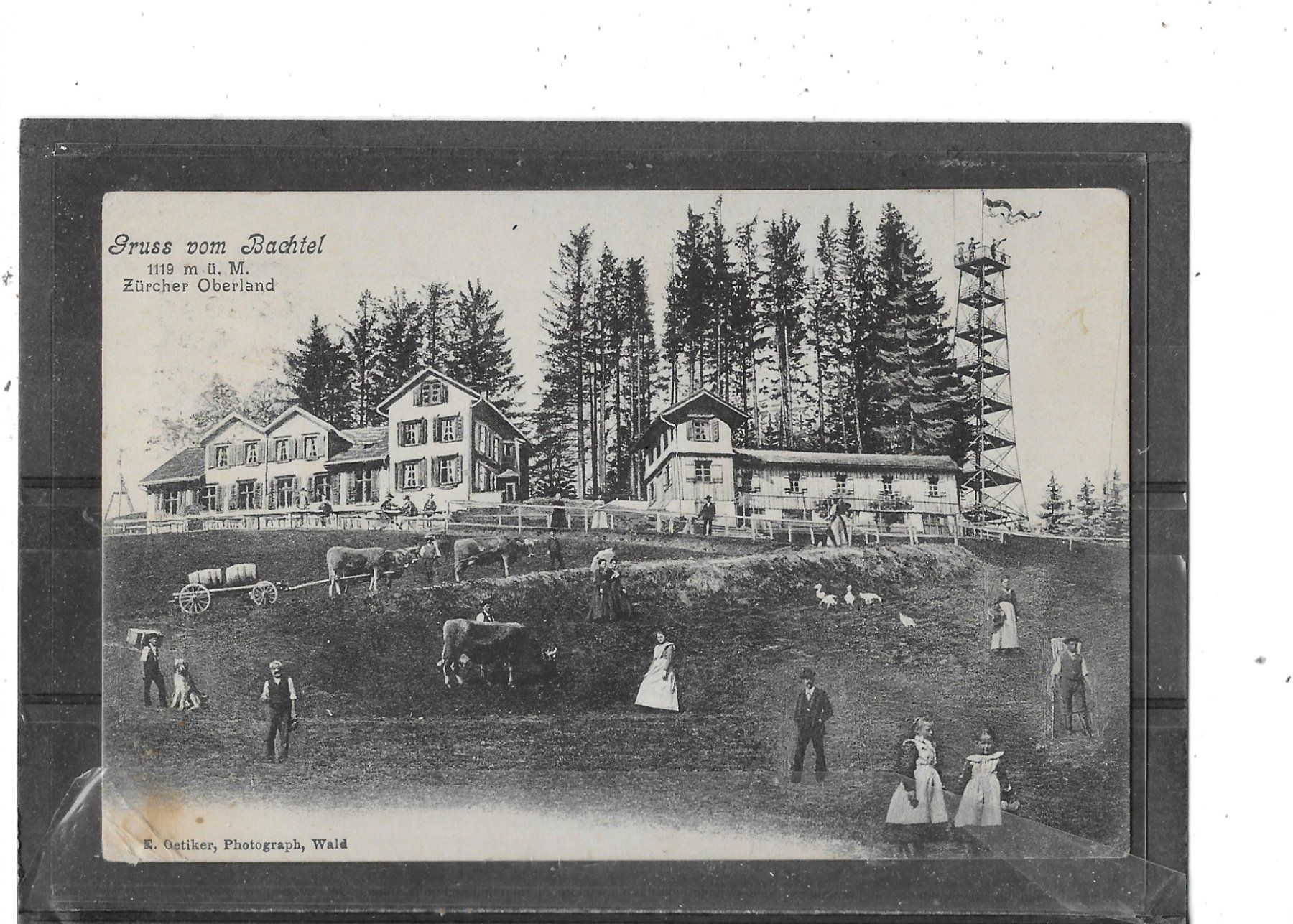 Cartoline postali: ZH Gruss vom Bachtel 1905 – Usato da Schocherswil venduto da Wilare