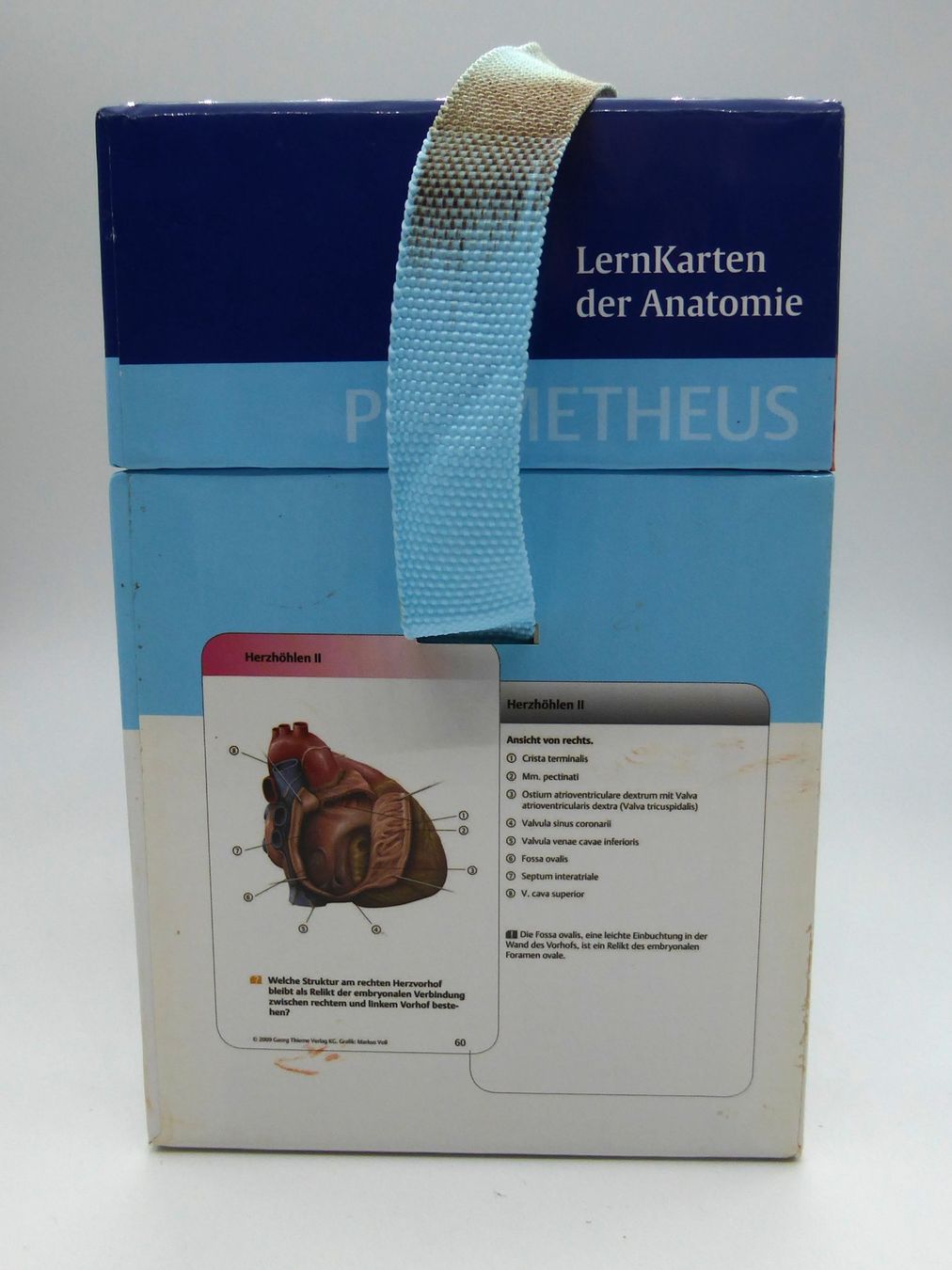 Sonstiger Schulbedarf: PROMETHEUS LernKarten der Anatomie 3. Auflage Thieme – Gebraucht aus Volketswil von brockipfannenstil 1