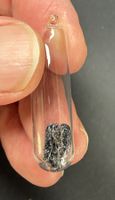 Phosphor, schwarz, Ampulle mit ca. 0,25 g schwarzem Phosphor