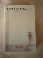 Peter Stamm Agnes Roman guter Zustand