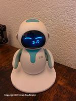 Eilik Desktop-Roboter – Top-Zustand & Neueste Firmware