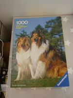 Puzzle 1000 zwei Collies Ravensburger