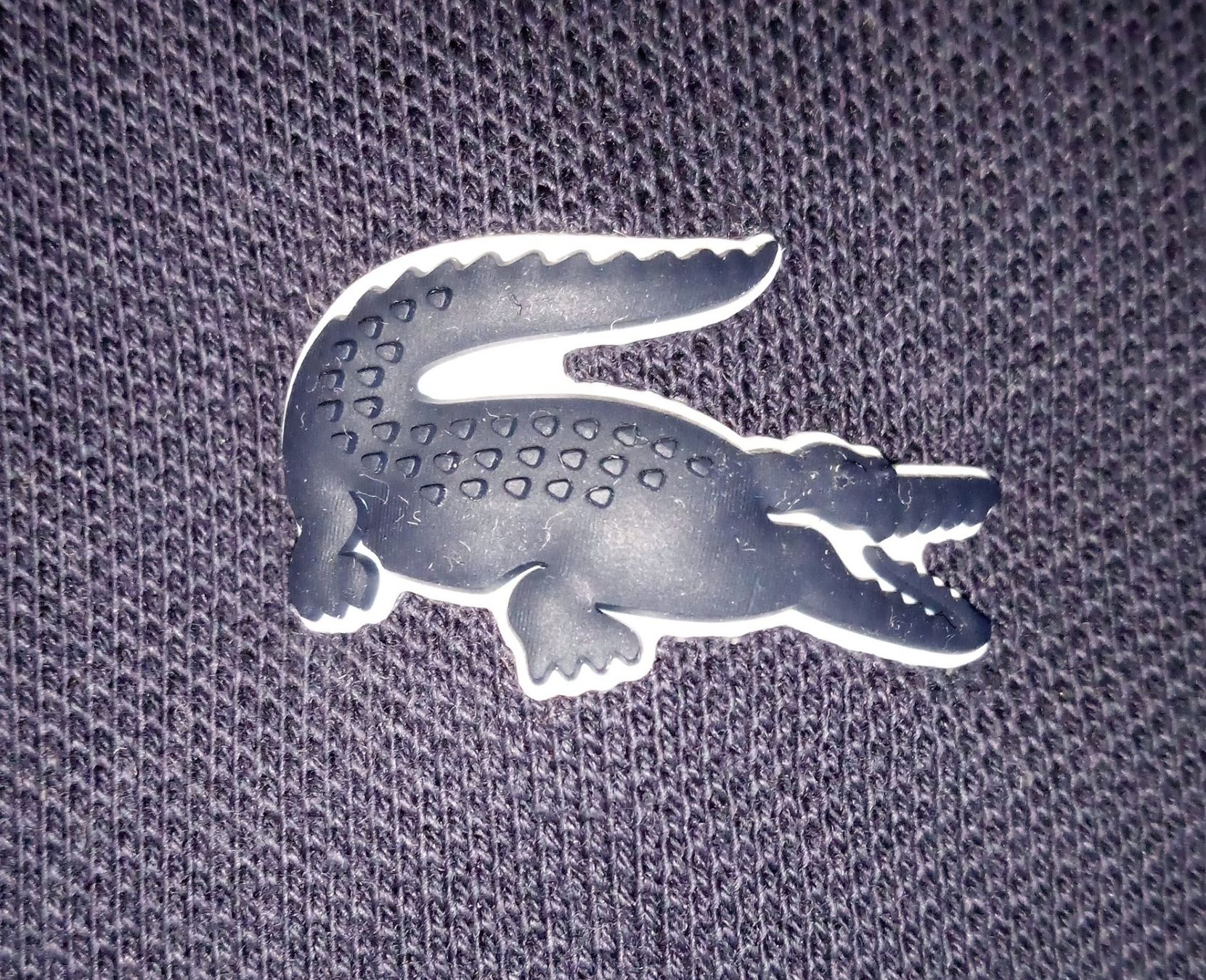 Lacoste Magliette Polo: Lacoste Polo Shirt Herren – Usato da Mörschwil venduto da Auktionae0 2