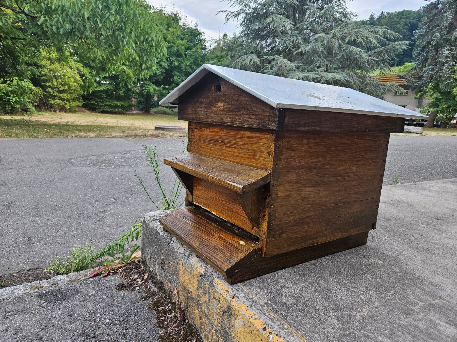 Alveari: Bienenbeute Dadant Blatt – Usato da Aarau venduto da ottisottis61 1