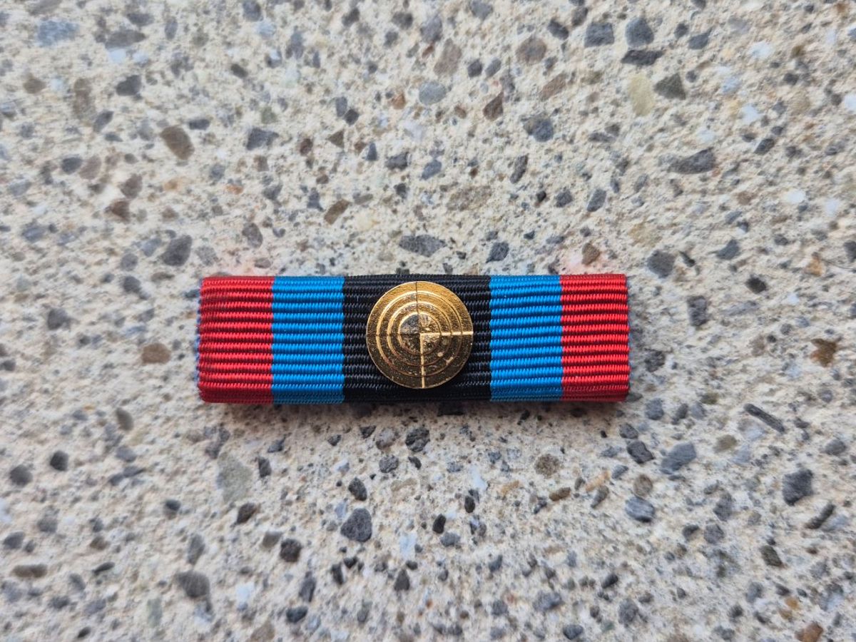 Schweizer Armee Placchette & Badge: *** Ribbon Sturmgewehr Stufe 2 *** – Usato da Riedholz venduto da fr_sIruP