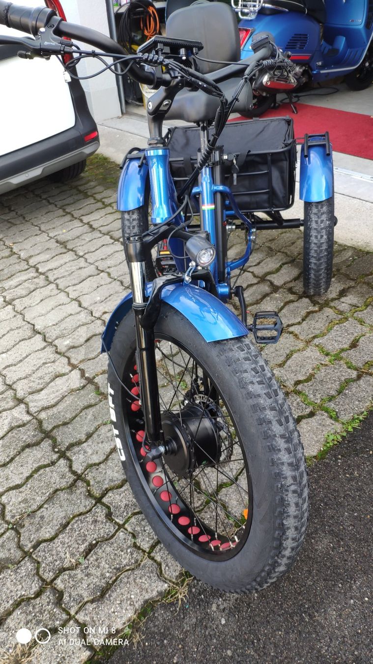 E Bike Dreirad 25 Km mit Handgas 4 Monate alt 10 Km ODB (D'occasion) à ...