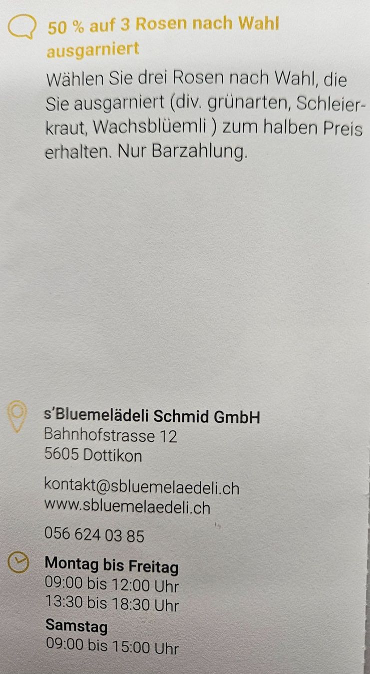 Buoni: 50% Bluemelädeli Schmied GmbH Dottikon – Nuovo e nell'imballaggio originale da Uezwil venduto da Jasmin_ 1