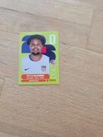 Panini Sticker USA10