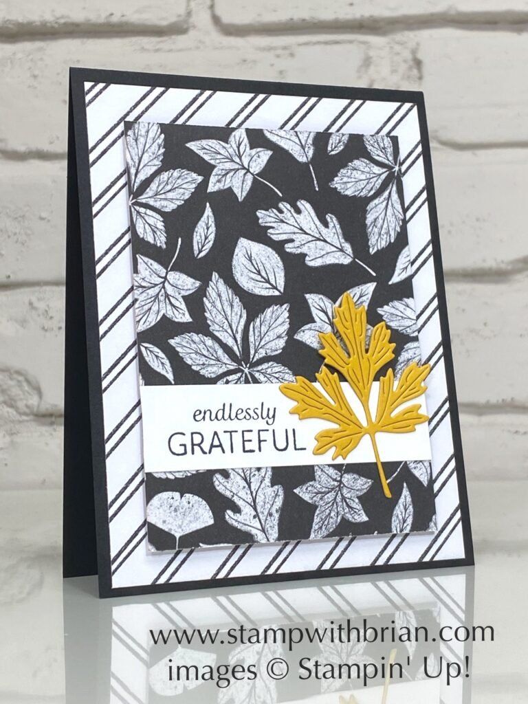 Stampin' up! Papiere: Stampin up Paket "Herbsternte" – Neu (gemäss Beschreibung) aus Frauenkappelen von evangelina78 8