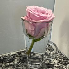 Profile image of Cloudyroom