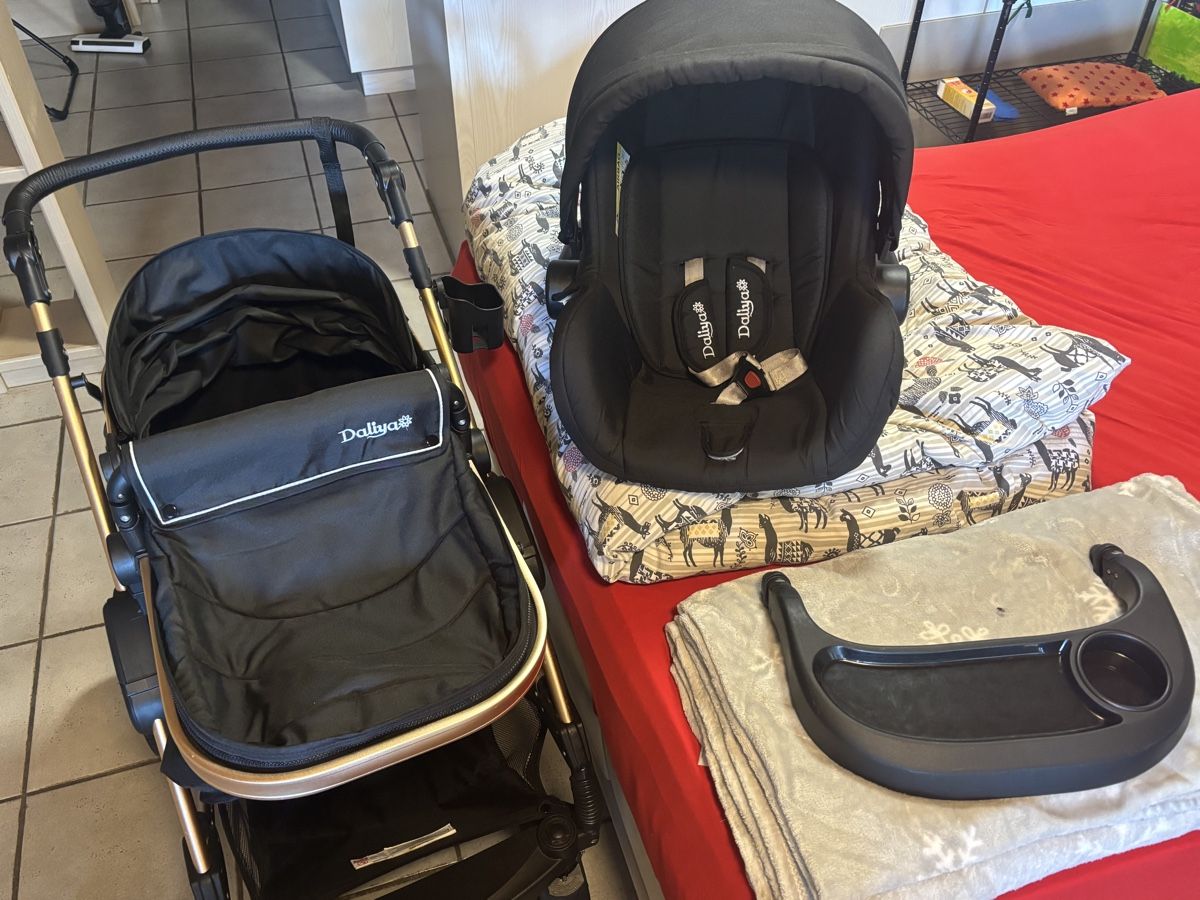 Daliya Kinderwagen- und Autositz-Kombi (D'occasion)  Reinach AG pour CHF 1   retrait uniquement | Acheter sur Ricardo