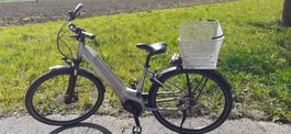 E-Bike Cilo Cityliner, Bosch Akku, 45cm, Service April 2026