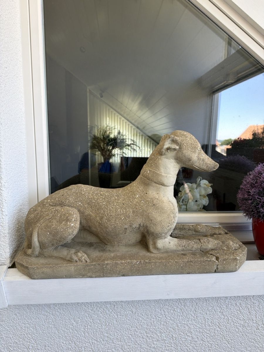 Sculture & Statue: Massive Deko-Windhunde aus Beton – Usato da Wettswil venduto da Onix2014