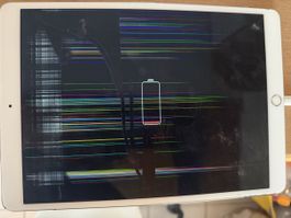 Apple iPad – Defekt – Für Bastler