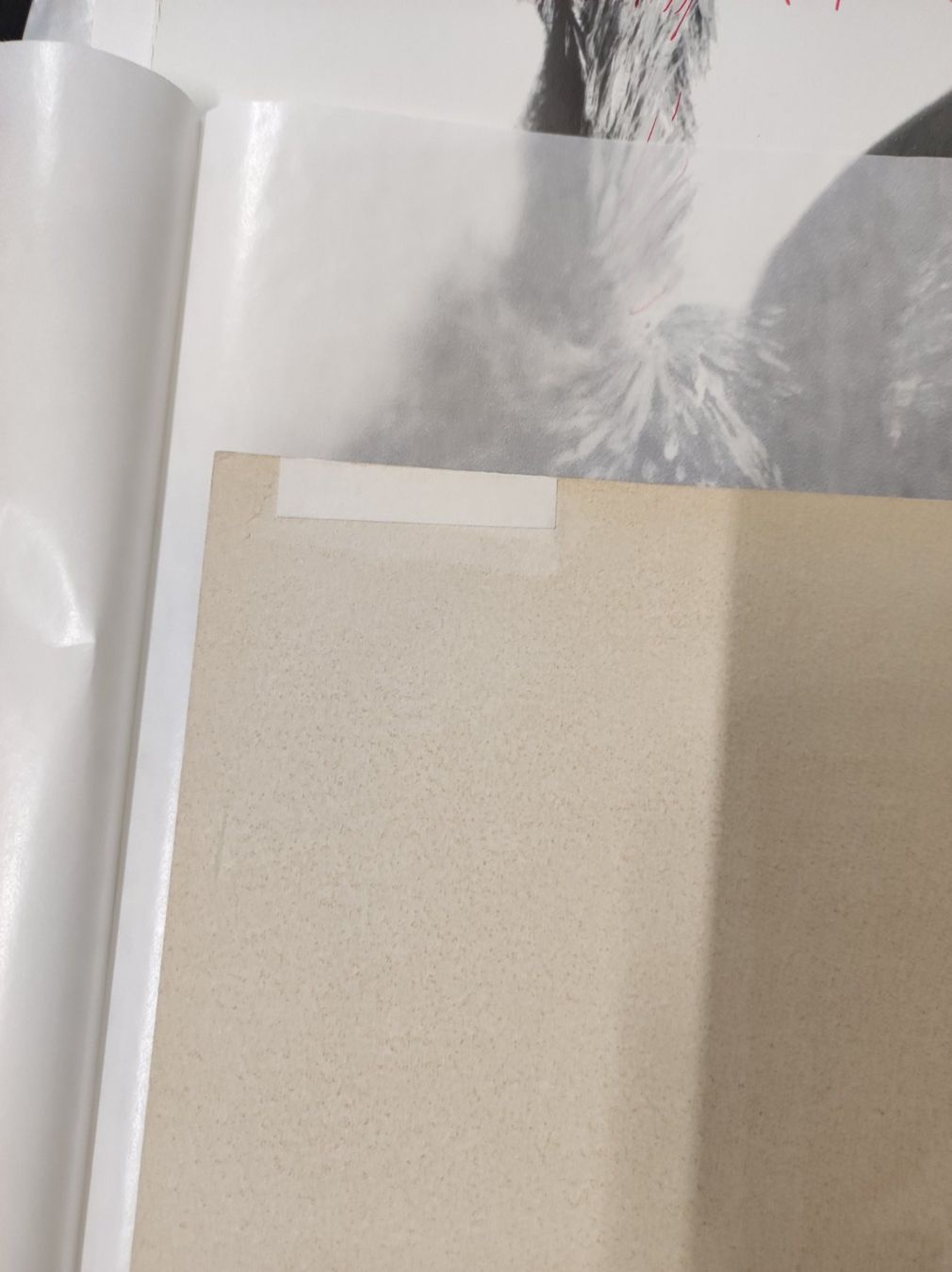 Grafica & Litografie: GEORGES BRAQUE - OEUVRE GRAPHIQUE - SIGNIERT – Usato da Goldach venduto da Gaip 8