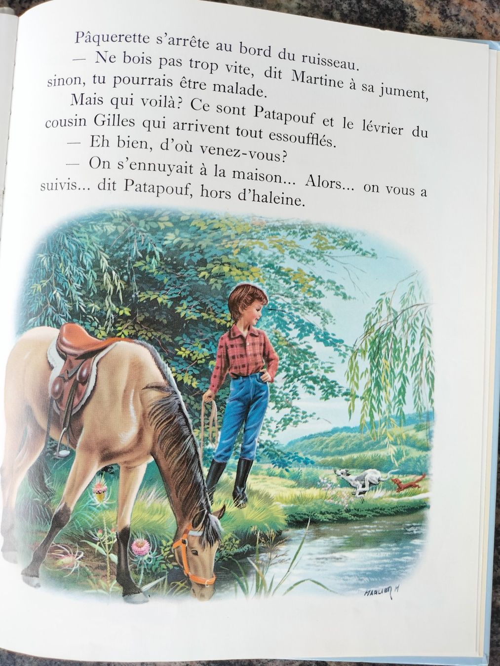 Libri: Martine monte à cheval – Usato da Cortaillod venduto da rozinna 6