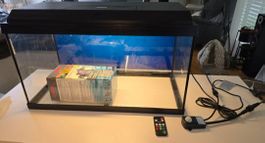 Aquarium 54L mit Zubehör