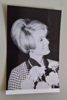Foto Bild Rosemarie Bowe Stack Film Schauspielerin Model USA
