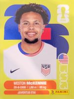 Panini FIFA World Cup USA 10