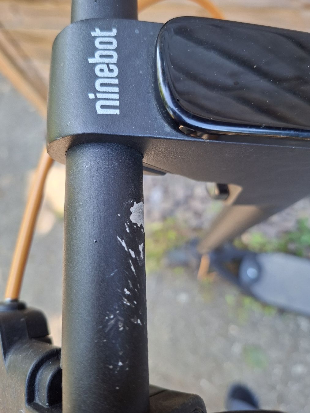 Segway Kickboard: Segway Ninebot F30d – Gebraucht aus basel von baselinseli 1