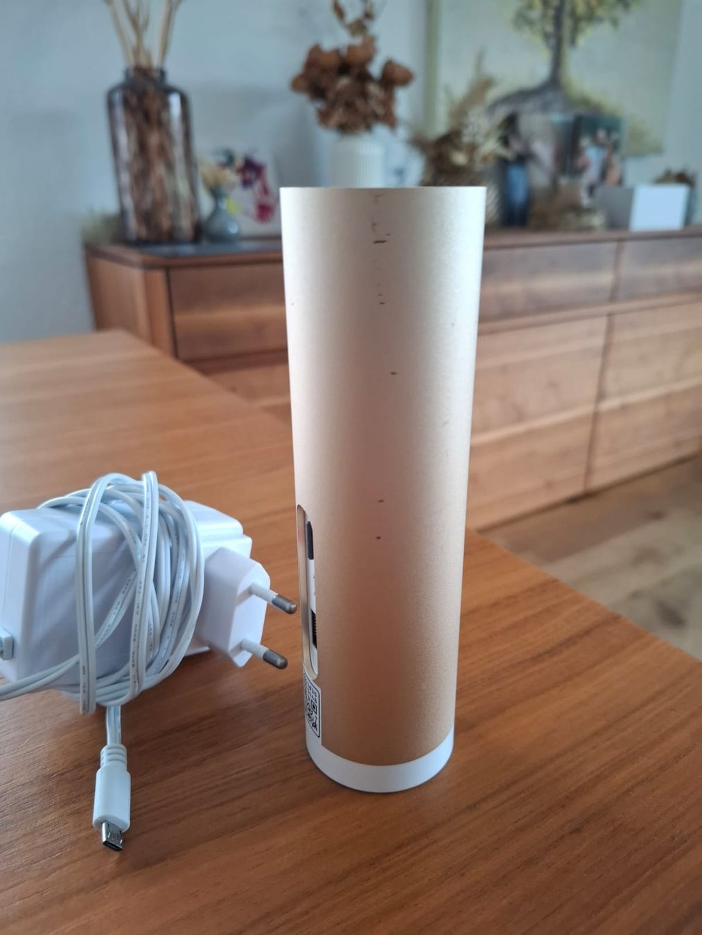 Netatmo Systèmes d'alarme: Netatmo Presence Kamera mit Netzteil – D'occasion à Recherswil par Puntoabarth94 1