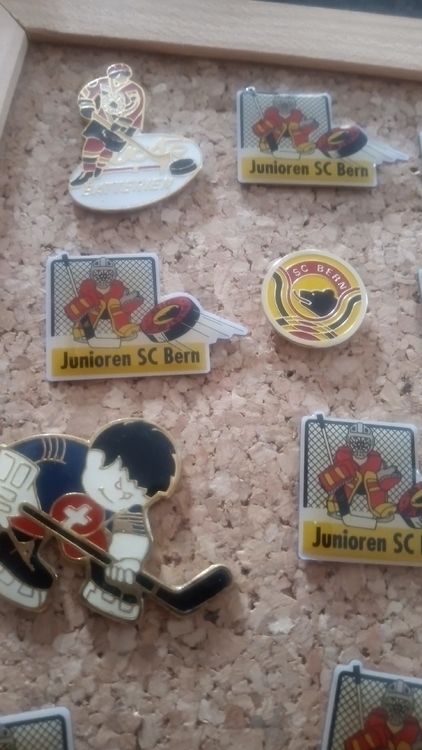 Plaketten & Abzeichen: SC Bern Pins Sammlung - Selten und Wertvoll! Eishockey – Gebraucht aus Belp von Guadalupe84 1
