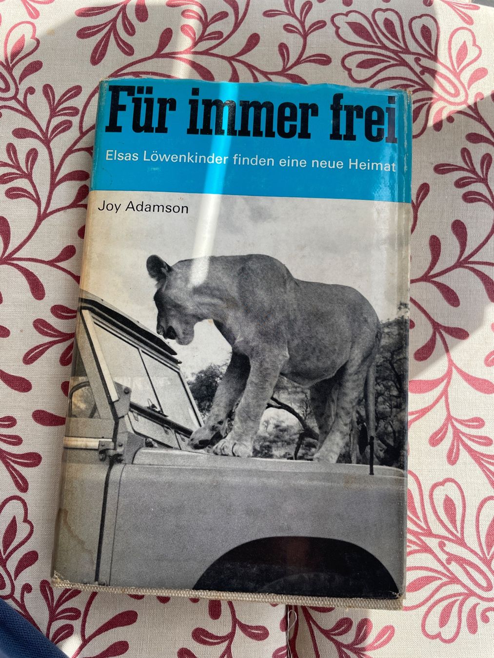 Bücher: "Für immer frei" Löwenkinder, Joy Adamson – Gebraucht aus Sargans von Didis
