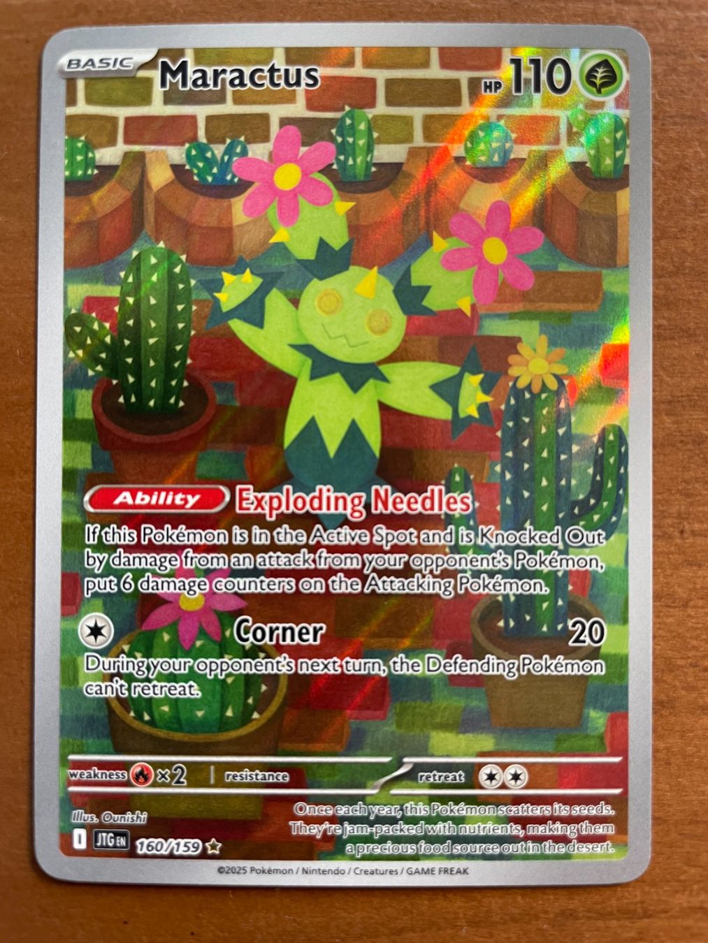 Pokémon Carte collezionabili: Pokemon Maractus (Versand gratis) – Nuovo (secondo la descrizione) da Chur venduto da Angerson