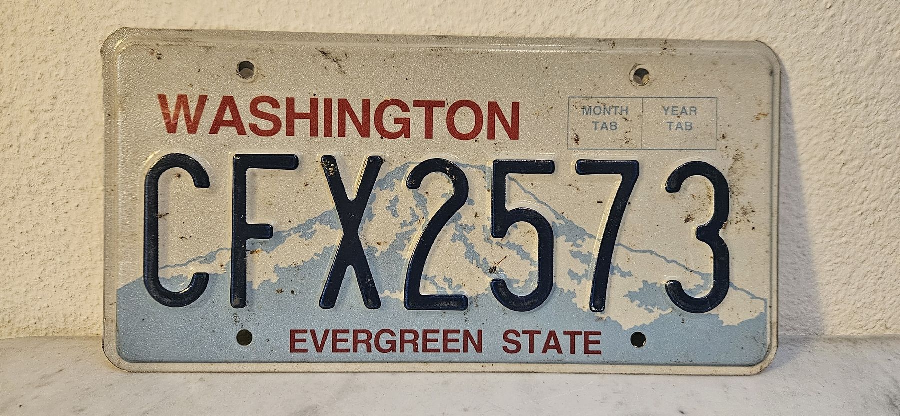 Insegne: Nummernschild Washington, USA – Usato da Belp venduto da Ginus85