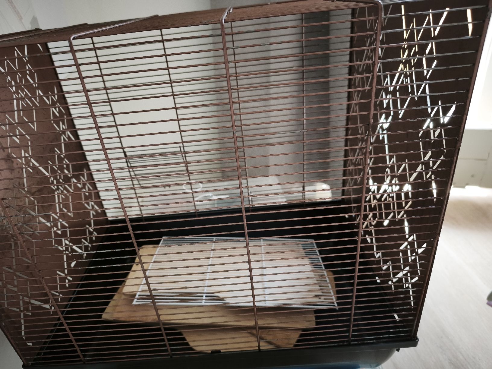 Gabbie, trasporto & Sicurezza: Lot de 2 cages et articles pour hamster – Usato da St-Imier venduto da str_jp9w 4