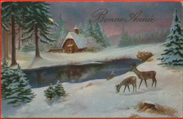 AK NEUJAHR Bonne Année