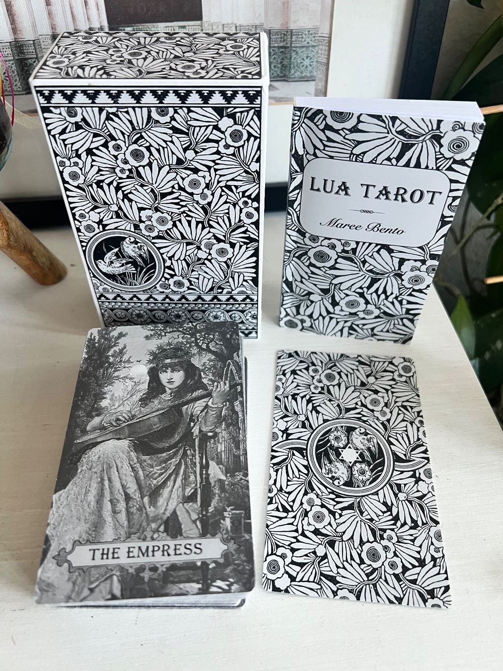 Jeux: The Lua Tarot Karten Deck - Maree Bento SAMMLERSTÜCK – Neuf (Voir description) à Effretikon par YaMn