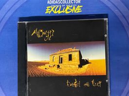 Midnight Oil