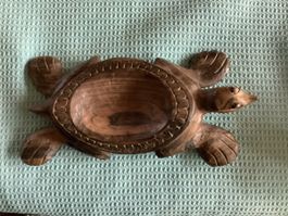 Schildkröten Schale
