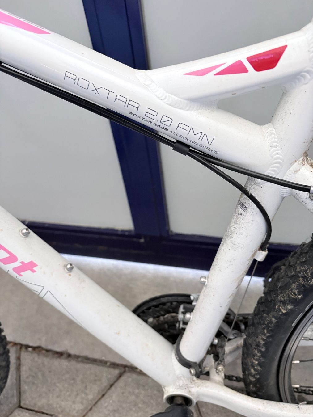 Bergamont Biciclette: Damen Mountainbike Hardtail – Usato da Sattel venduto da lsc_k62p 5