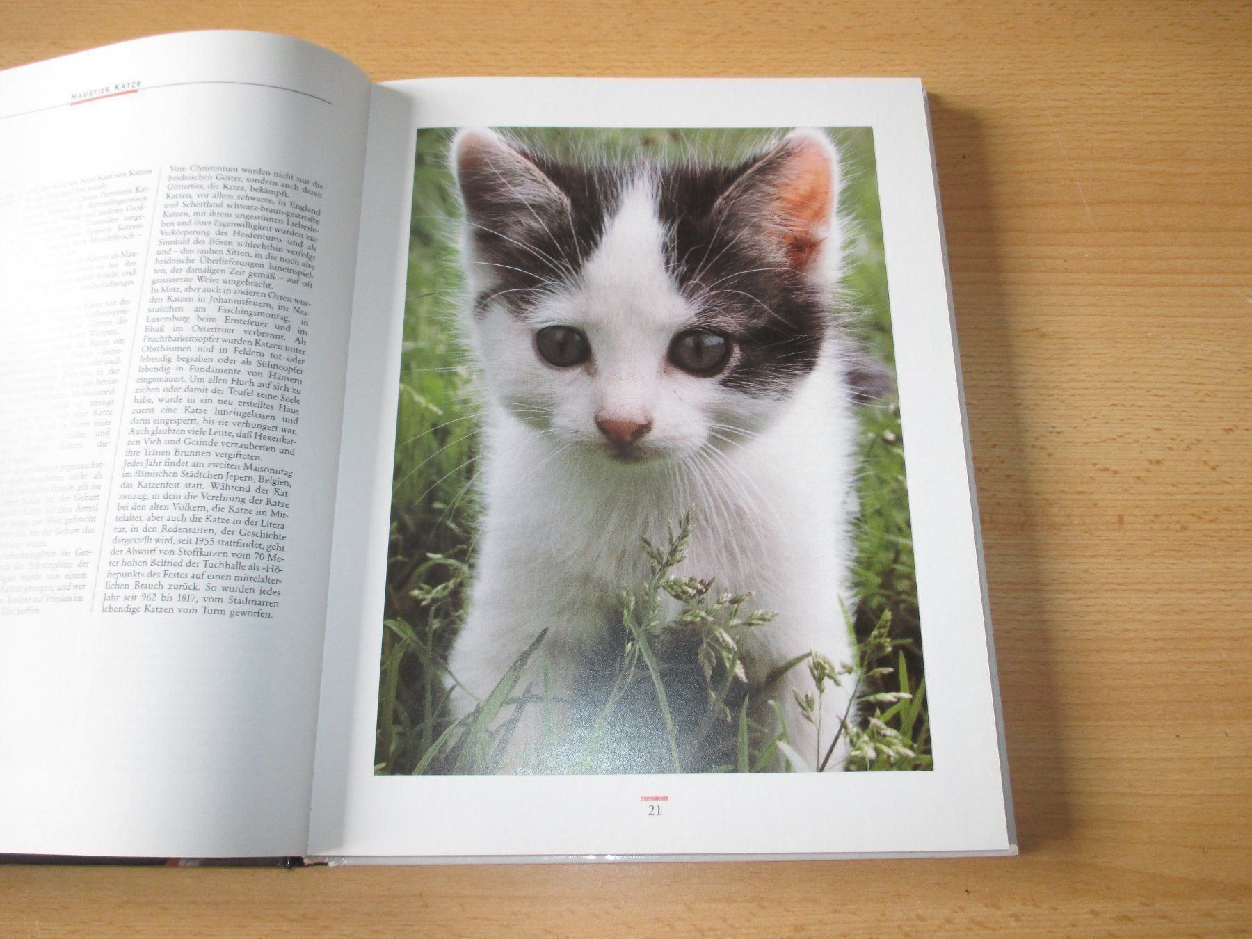 Libri: KATZEN  Einmalige Sonderausgabe – Usato da Flims - Dorf venduto da Stagediver 2