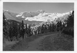 Arosa GR G