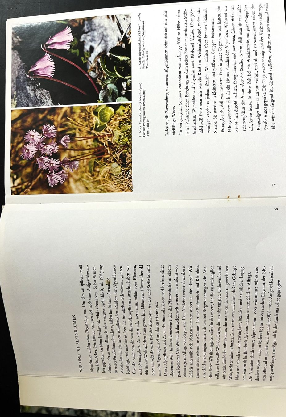 Libri: Silva Verlag, Alpenblumen, 1969 – Usato da Oftringen venduto da Vucki 2