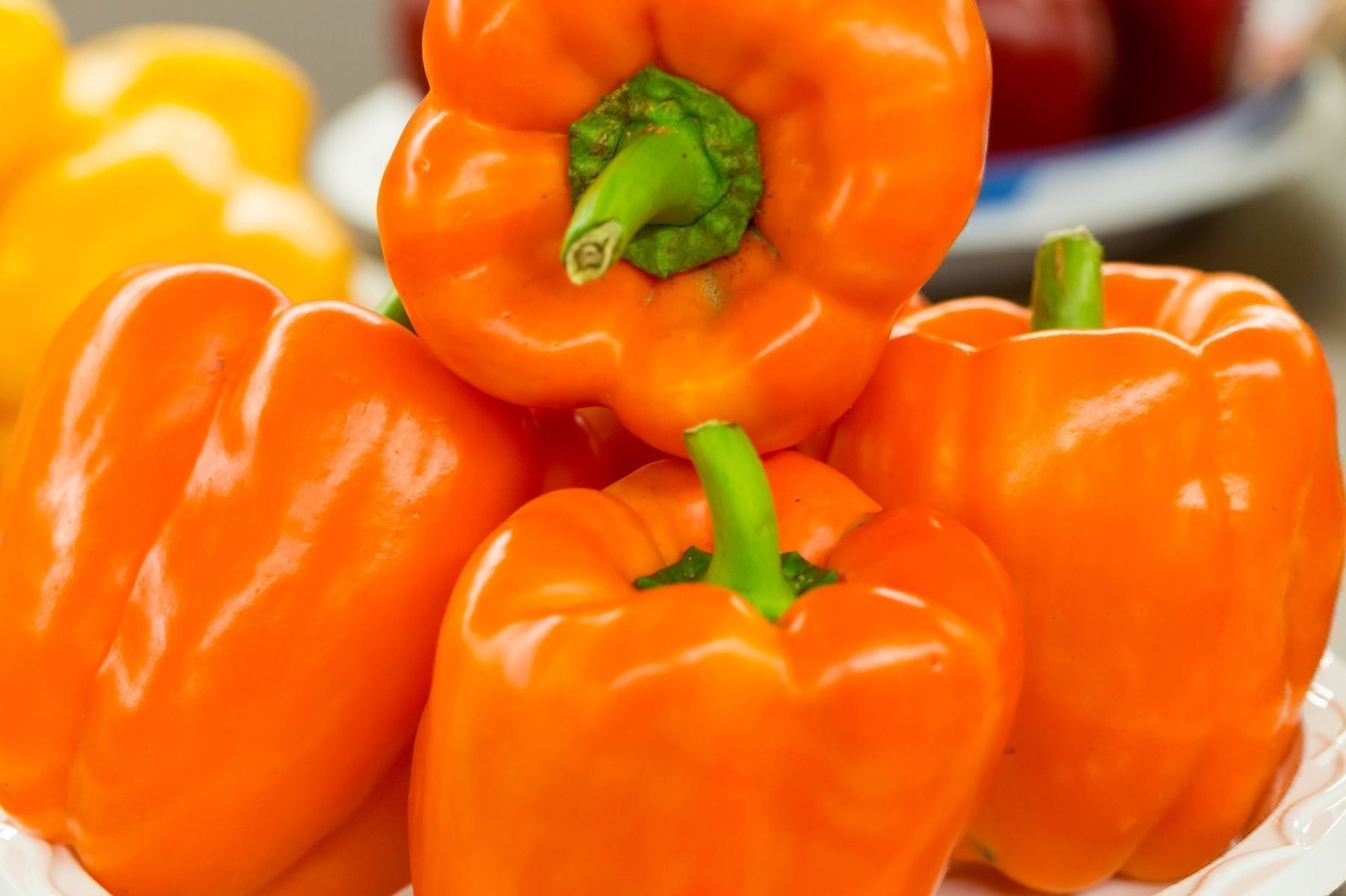 Piante & sementi: 30 Samen Paprika REWIA Orange – Nuovo (secondo la descrizione) da Ehrendingen venduto da VerveinaSamen 4